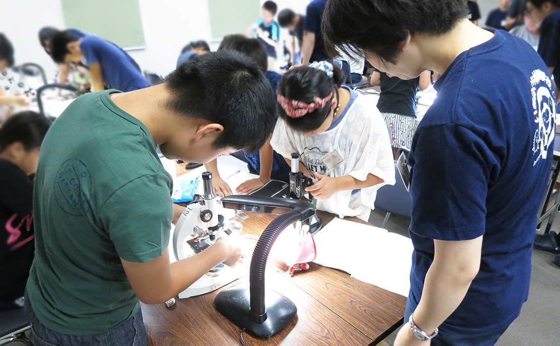 「いちのくら微生物林間学校」参加者募集!