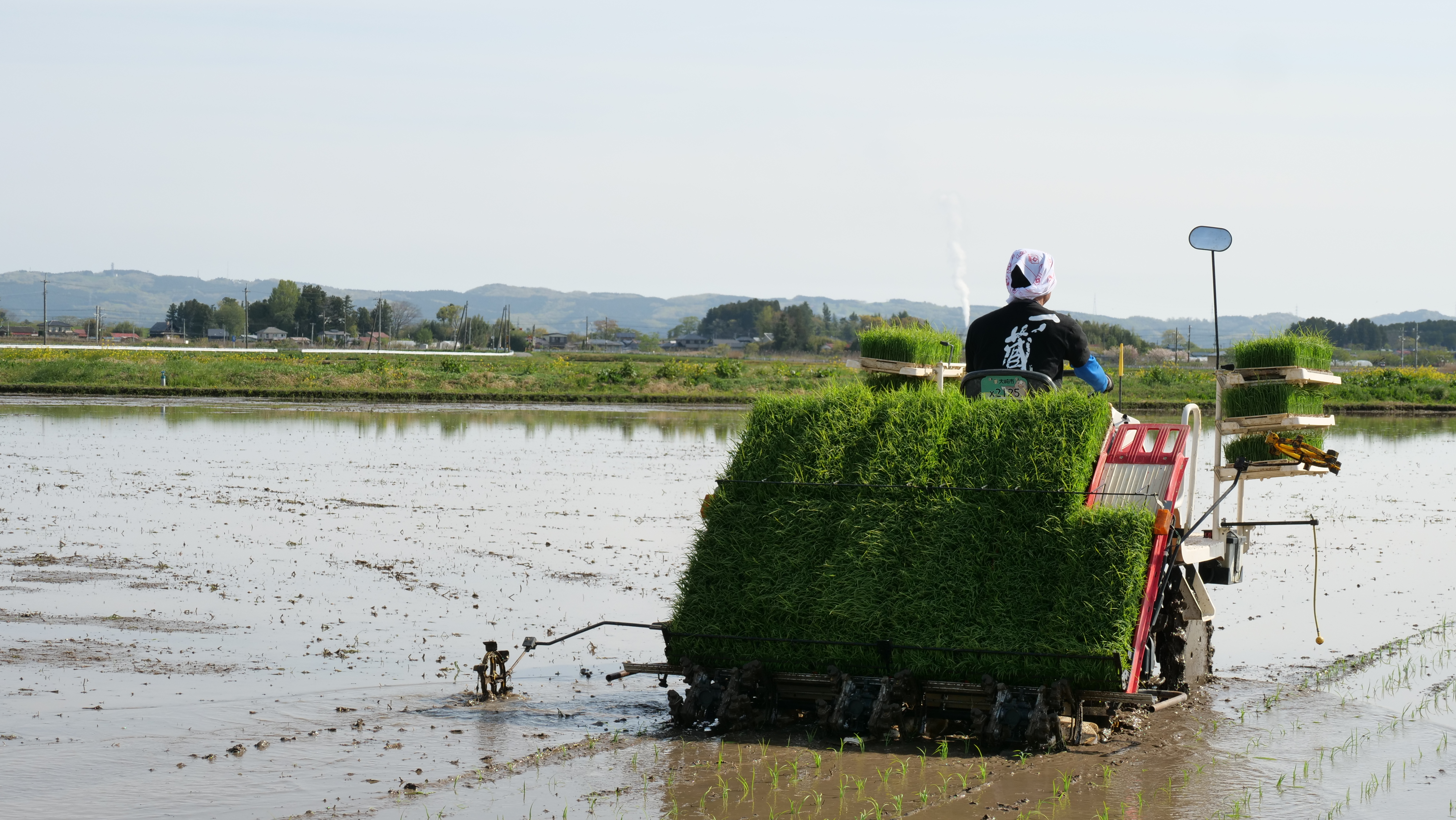一ノ蔵 農社　田植えスタート！